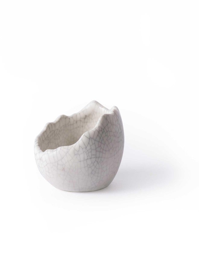Galapagos Galápagos (05457) Heavyweight Ceramic Egg Dish - Hygienic, Spill-Proof Bowl for Reptile & Terrarium Habitats, Perfect for Bearded Dragons, Geckos, Snakes, Hermit Crabs & More, Small (3in x 2.75in) - Image 1